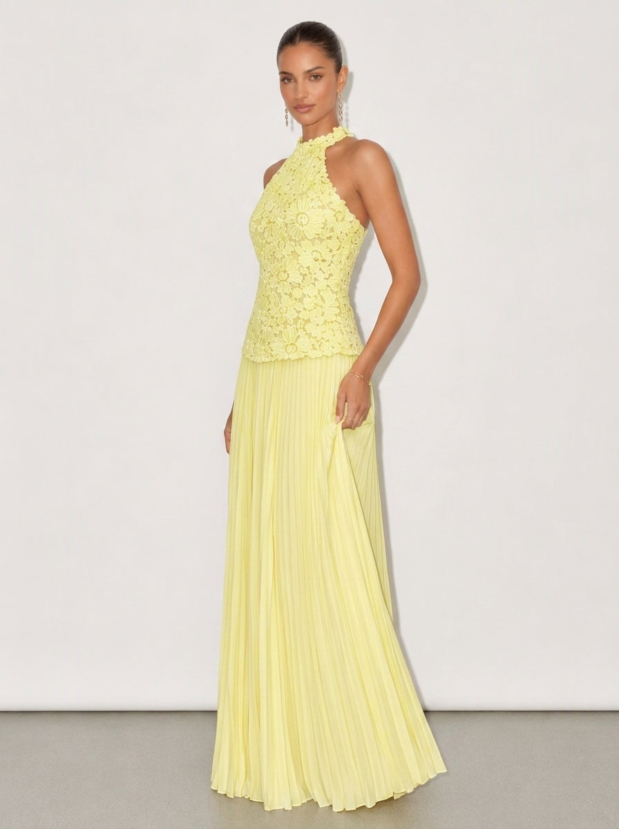 Zephrina Elara floral applique maxi dress