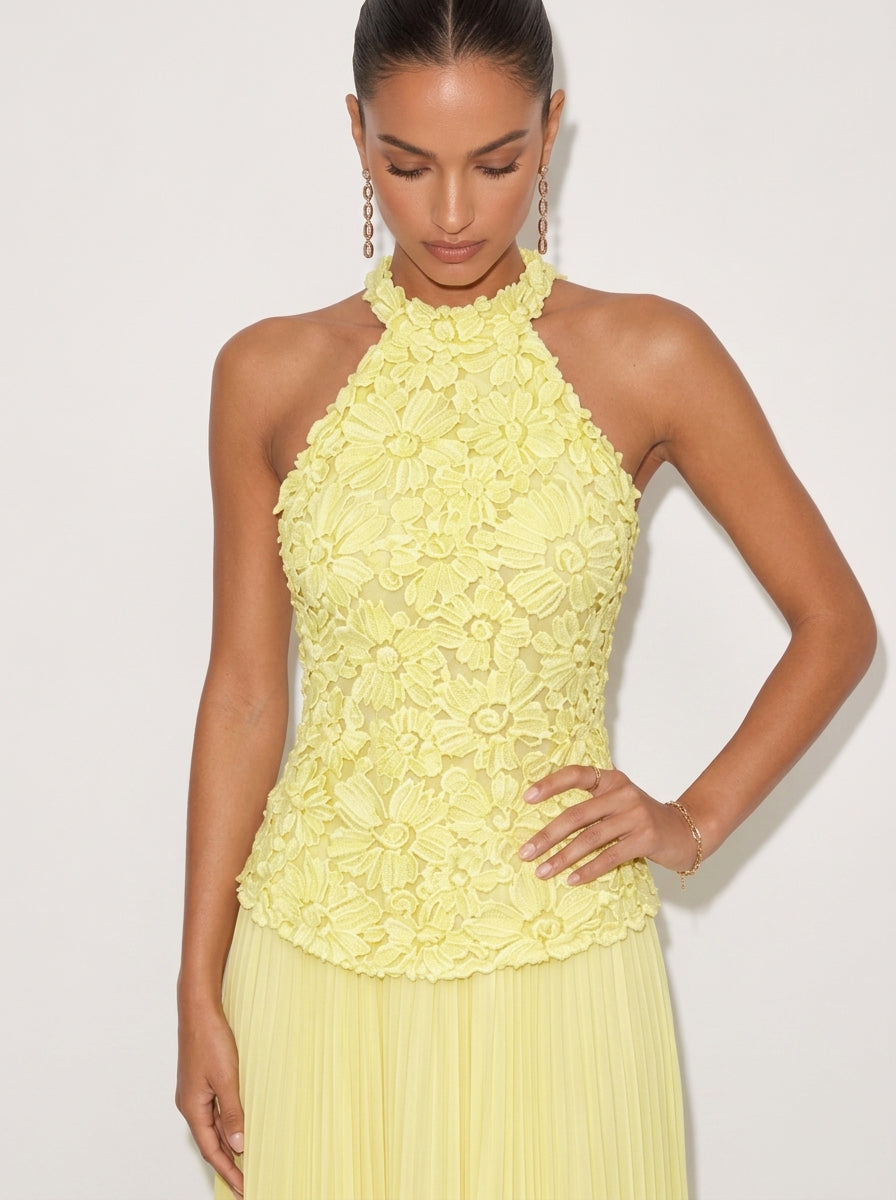 Zephrina Elara floral applique maxi dress