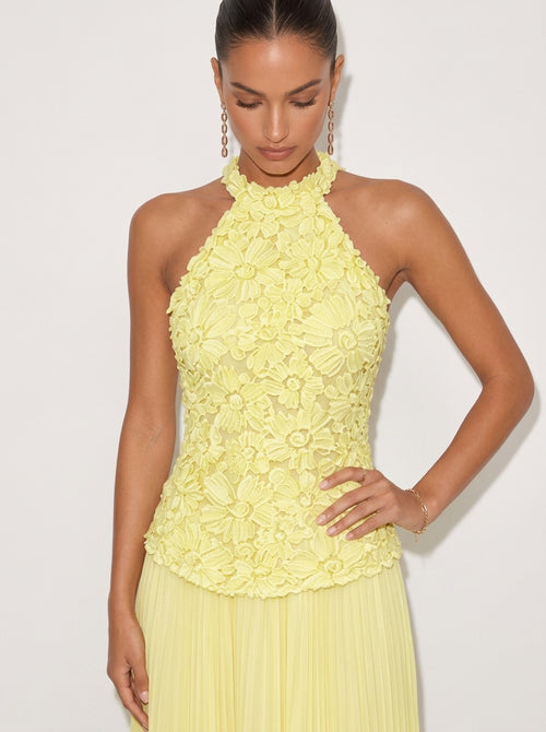 Zephrina Elara floral applique maxi dress
