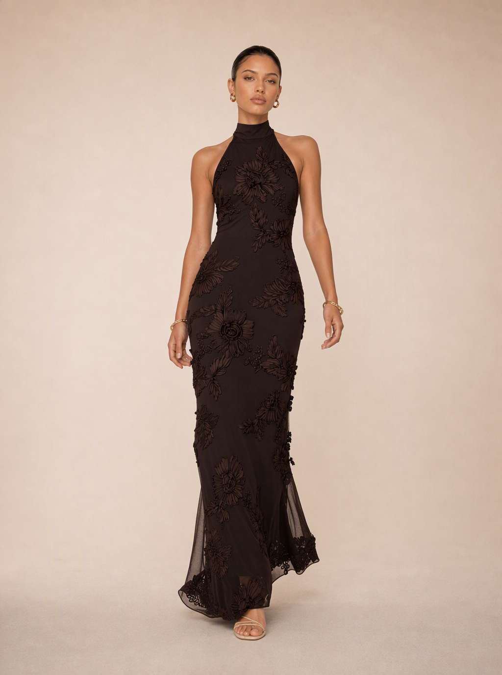 Zephrina Josette embroidered mesh maxi dress in chocolate