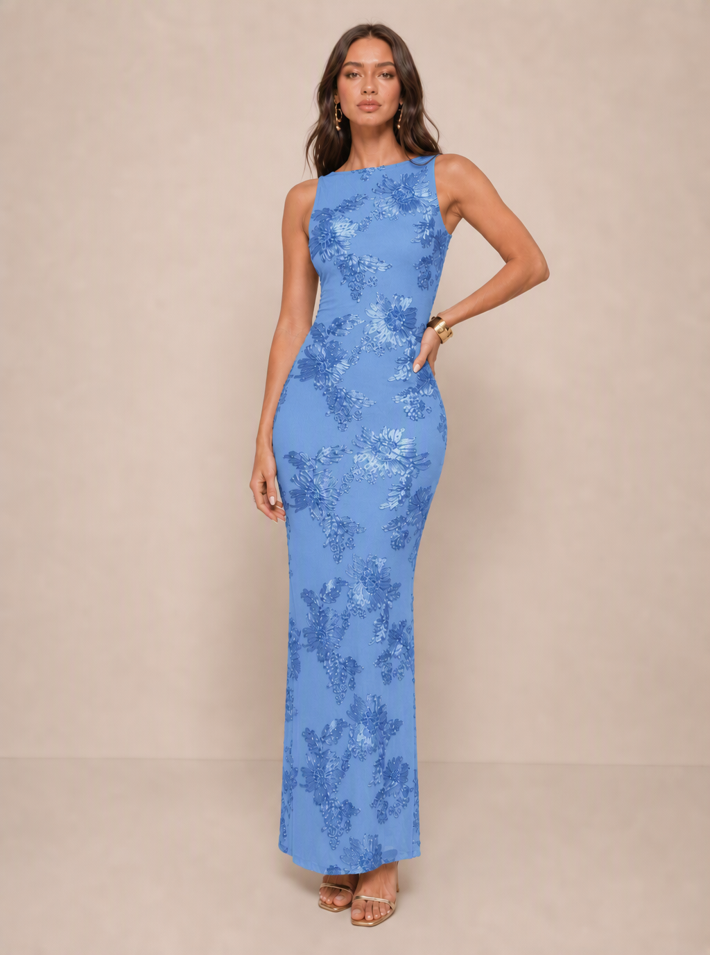 Zephrina Ginevra embroidered mesh maxi dress